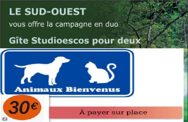 Gite Studioescos El Uno Kültér fotó